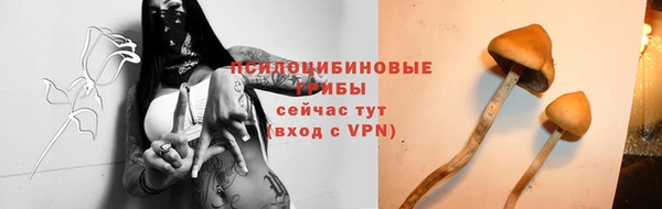 гидра Балабаново